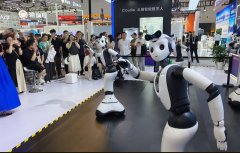 上海市经济消息化委从任